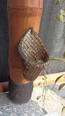 Hindistan cevizi lifinden yapılmış tencere kaplaması, çevre dostu ve doğal malzeme, kırsal ve sürdürülebilir bitki desteği sunuyor.