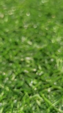 Üniforma desenli yeşil sentetik çimen deseni, genellikle dekorasyon, spor alanları, oyun alanları ve modern manzara tasarımı için kullanılır..