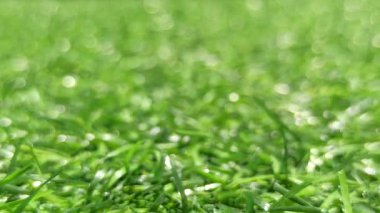 Üniforma desenli yeşil sentetik çimen deseni, genellikle dekorasyon, spor alanları, oyun alanları ve modern manzara tasarımı için kullanılır..