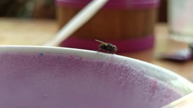 Bir sineğin su bardağına tünemesi hijyen sorunlarını, yiyecek güvenliği risklerini ve içecek yakınlarındaki böceklerin varlığını sembolize eder..