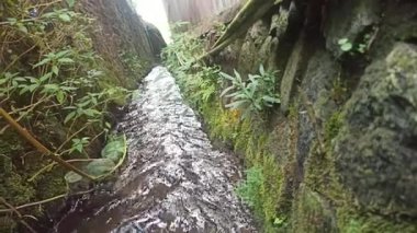 Tarım alanlarında akan su akışı, sulama için gerekli, tarım yaşamını, kırsal araziyi ve sürdürülebilir tarımı sembolize ediyor.