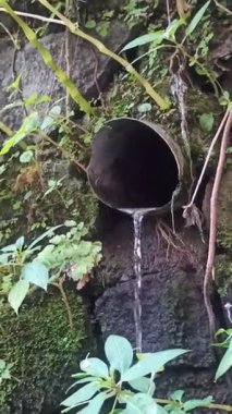 Tarım alanlarında akan su akışı, sulama için gerekli, tarım yaşamını, kırsal araziyi ve sürdürülebilir tarımı sembolize ediyor.