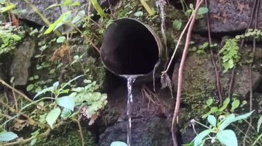 Tarım alanlarında akan su akışı, sulama için gerekli, tarım yaşamını, kırsal araziyi ve sürdürülebilir tarımı sembolize ediyor.