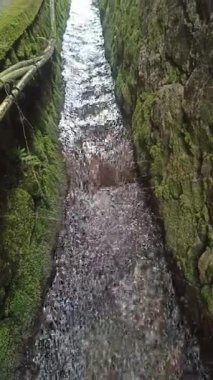 Tarım alanlarında akan su akışı, sulama için gerekli, tarım yaşamını, kırsal araziyi ve sürdürülebilir tarımı sembolize ediyor.