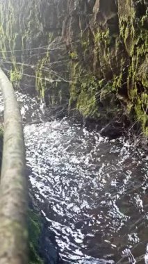 Tarım alanlarında akan su akışı, sulama için gerekli, tarım yaşamını, kırsal araziyi ve sürdürülebilir tarımı sembolize ediyor.