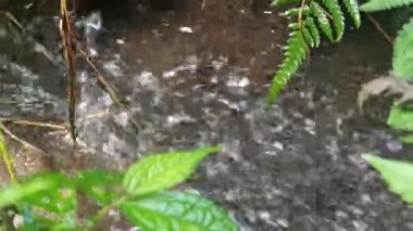 Tarım alanlarında akan su akışı, sulama için gerekli, tarım yaşamını, kırsal araziyi ve sürdürülebilir tarımı sembolize ediyor.