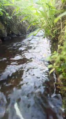 Tarım alanlarında akan su akışı, sulama için gerekli, tarım yaşamını, kırsal araziyi ve sürdürülebilir tarımı sembolize ediyor.