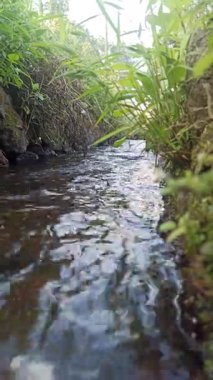 Tarım alanlarında akan su akışı, sulama için gerekli, tarım yaşamını, kırsal araziyi ve sürdürülebilir tarımı sembolize ediyor.