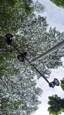 Geceleri sıcacık parlayan güzel bir bahçe lambası yolu aydınlatıyor ve parkta huzurlu ve zarif bir atmosfer yaratıyor..