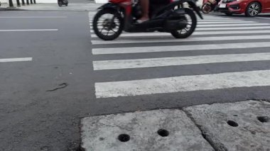 Zebra, şehir güvenliğini, yaya erişimini ve modern ulaşım altyapısını sembolize eden açık beyaz çizgili bir caddeden geçiyor..