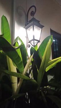 Estetik bir sokak lambası geceleri parlıyor, karanlığa sıcak bir ışık tutuyor ve güzel bir şehir atmosferi yaratıyor. Aydınlatılmış lamba şehir manzarasına cazibe katıyor. Gece fotoğrafçılığını, şehir tasarımını ve huzurlu akşam atmosferini temsil ediyor..