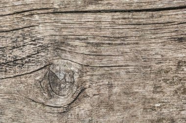 Eski çürümüş yıpranmış düğümlü kaba çam ahşap Grunge yüzey doku detay kırık