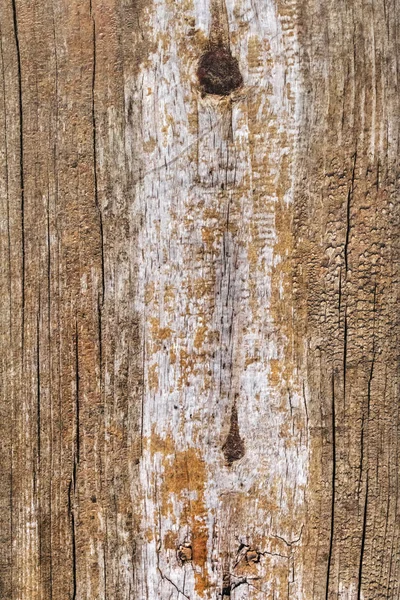 Viejo Envejecido Podrido Agrietado Anudado Áspero Madera Pino Grunge Textura —  Fotos de Stock