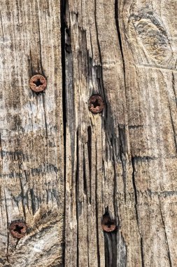 Eski çürümüş yıpranmış düğümlü kaba Pinewood Floorboard Grunge yüzey Rusty Phillips vida katıştırılmış ayrıntı ile kırık
