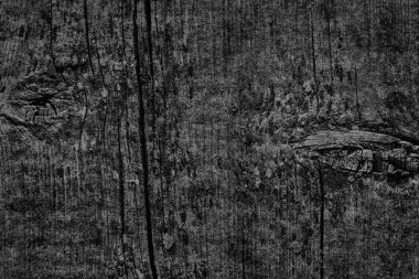 Çürük kırık düğümlü kaba Pinewood Floorboard Grunge yüzey doku detay siyah eski yıpranmış