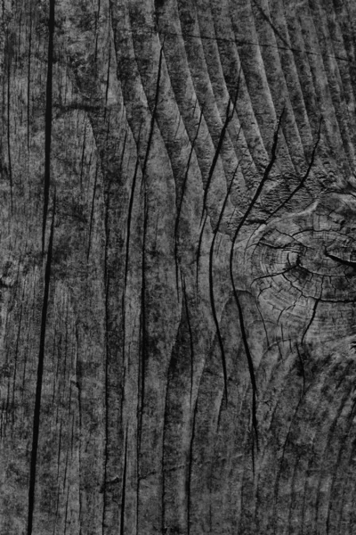 Black Old Weathered Rotten Cracked Knotted Rough Pinewood Floorboard Grunge Surface Texture Detail