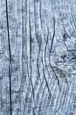 Mavi eski berbat kırık düğümlü kaba Pinewood Floorboard Grunge yüzey doku detay yıpranmış