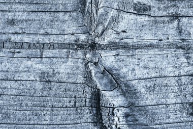 Mavi eski berbat kırık düğümlü kaba Pinewood Floorboard Grunge yüzey doku detay yıpranmış