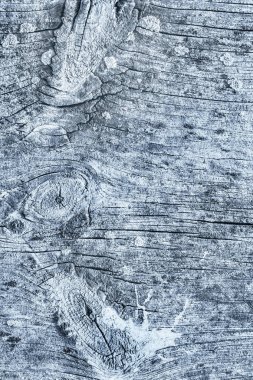 Mavi eski berbat kırık düğümlü kaba Pinewood Floorboard Grunge yüzey doku detay yıpranmış