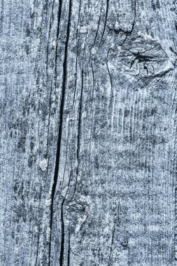 Mavi eski berbat kırık düğümlü kaba Pinewood Floorboard Grunge yüzey doku detay yıpranmış 
