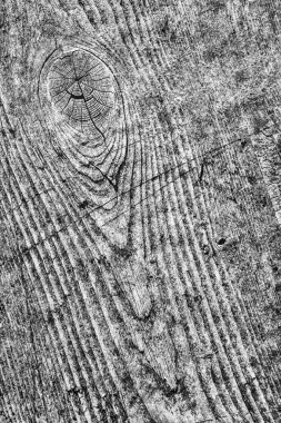 Orta gri eski yıpranmış çürük kırık düğümlü kaba Pinewood Floorboard Grunge yüzey doku detay