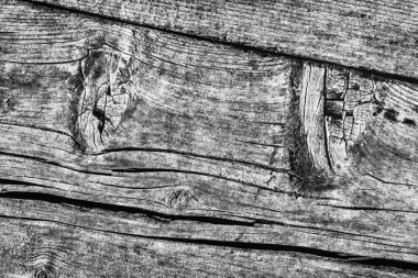 Orta gri eski yıpranmış çürük kırık düğümlü kaba Pinewood Floorboard Grunge yüzey doku detay