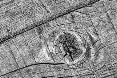 Orta gri eski yıpranmış çürük kırık düğümlü kaba Pinewood Floorboard Grunge yüzey doku detay