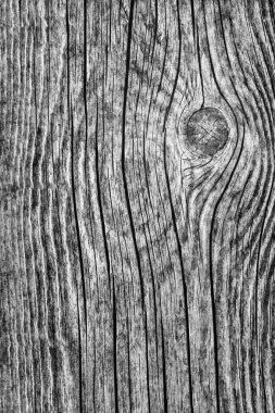 Orta gri eski yıpranmış çürük kırık düğümlü kaba Pinewood Floorboard Grunge yüzey doku detay