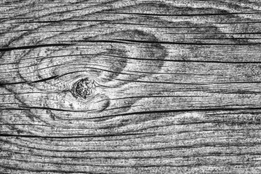 Orta gri eski yıpranmış çürük kırık düğümlü kaba Pinewood Floorboard Grunge yüzey doku detay