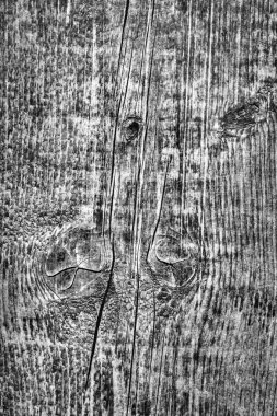 Orta gri eski yıpranmış çürük kırık düğümlü kaba Pinewood Floorboard Grunge yüzey doku detay