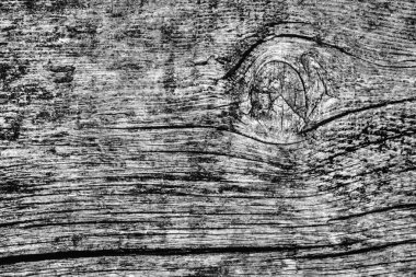 Orta gri eski yıpranmış çürük kırık düğümlü kaba Pinewood Floorboard Grunge yüzey doku detay