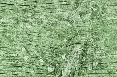 Yeşil eski yıpranmış düğümlü çam ahşap döşemeler Grunge doku detay kırık