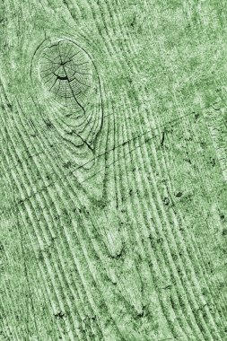 Yeşil eski yıpranmış düğümlü çam ahşap döşemeler Grunge doku detay kırık