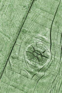 Yeşil eski yıpranmış düğümlü çam ahşap döşemeler Grunge doku detay kırık
