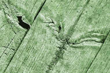 Yeşil eski yıpranmış düğümlü çam ahşap döşemeler Grunge doku detay kırık