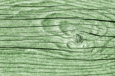 Yeşil eski yıpranmış düğümlü çam ahşap döşemeler Grunge doku detay kırık
