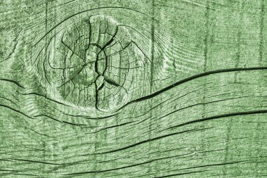 Yeşil eski yıpranmış düğümlü çam ahşap döşemeler Grunge doku detay kırık