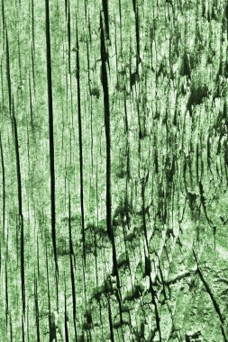 Yeşil eski yıpranmış düğümlü çam ahşap döşemeler Grunge doku detay kırık