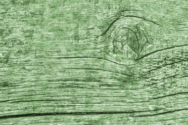 Yeşil eski yıpranmış düğümlü çam ahşap döşemeler Grunge doku detay kırık