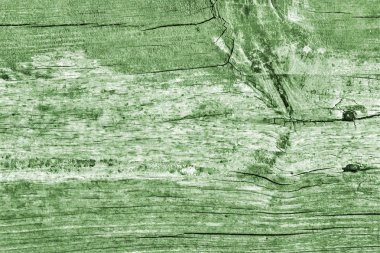Yeşil eski yıpranmış düğümlü çam ahşap döşemeler Grunge doku detay kırık