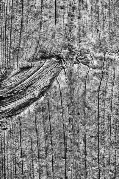 Mid grå gamla väderbitna ruttna knäckt knutna grov Pinewood brädan Grunge ytstruktur detalj — Stockfoto