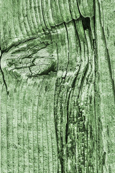 Yeşil eski yıpranmış düğümlü çam ahşap döşemeler Grunge doku detay kırık