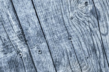 Rusty Phillips vida ile mavi eski yıpranmış kırık düğümlü çam ahşap döşemeler ayrıntı gömülü