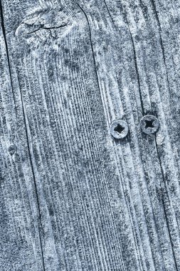 Rusty Phillips vida ile mavi eski yıpranmış kırık düğümlü çam ahşap döşemeler ayrıntı gömülü