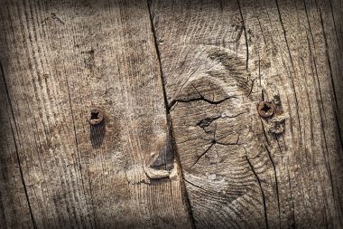 Rusty Phillips vida ile eski yıpranmış kırık düğümlü çam ahşap döşemeler Vignette Grunge doku detay gömülü