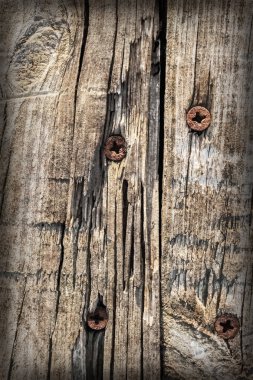 Rusty Phillips vida ile eski yıpranmış kırık düğümlü çam ahşap döşemeler Vignette Grunge doku detay gömülü