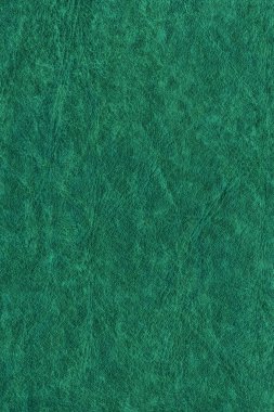 Dark Emerald Green Creased Exfoliated Leather Grunge Texture Sample
