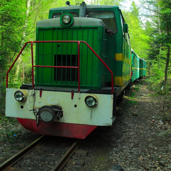 窄轨铁路 柴油火车与运输游客的车厢 — 图库照片