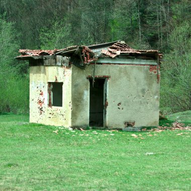 ormanda tuğla yapılmış harap tek bina