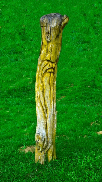 Idole Bois Sculptée Dans Tronc Arbre Sur Une Pelouse Forêt — Photo